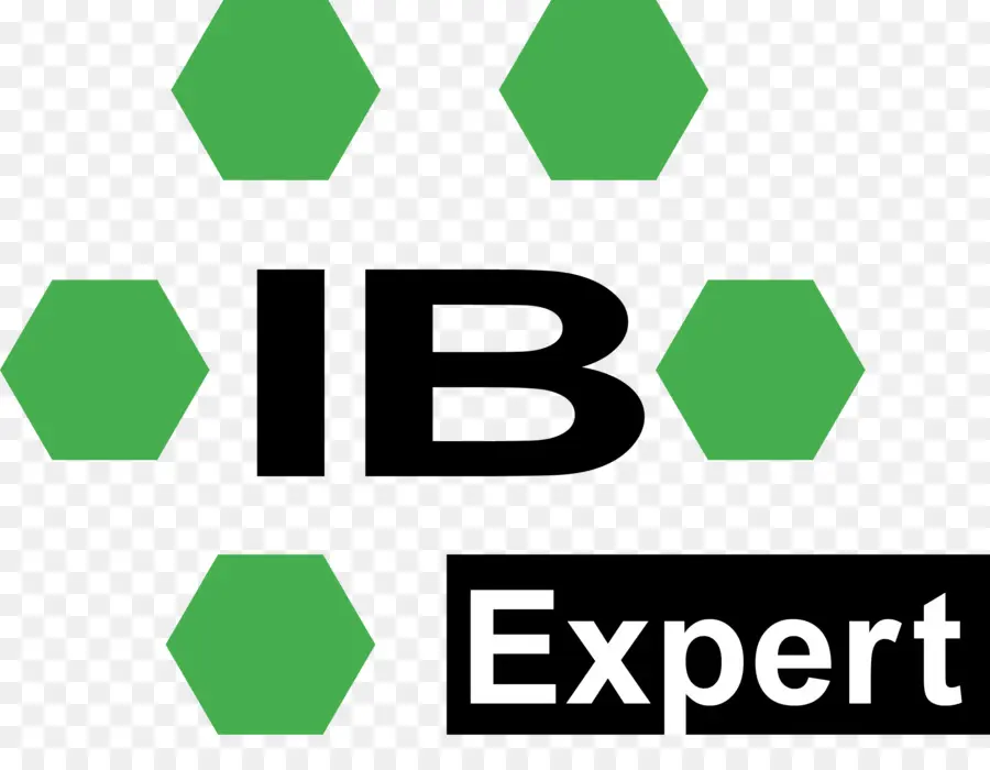 Expert De L'ib，Hexagones PNG