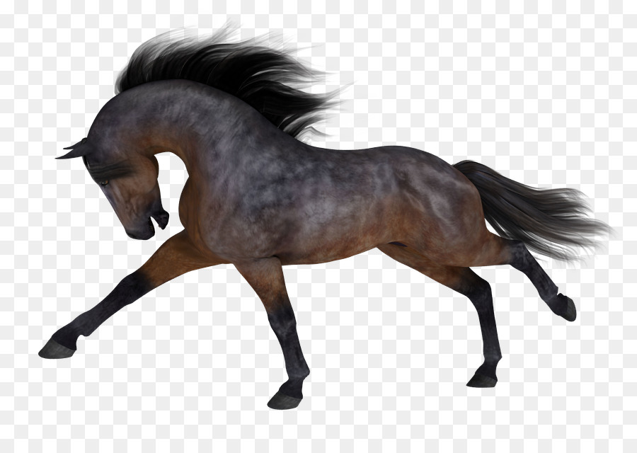 Licorne，Corne PNG