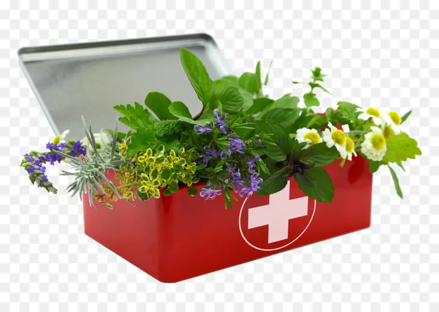 Trousse De Premiers Secours à Base De Plantes，Herbes PNG