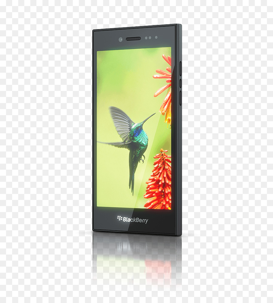 Blackberry Leap，Blackberry Classic PNG