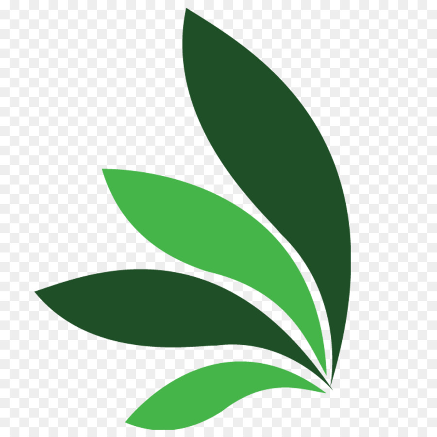 Feuille，Tige De La Plante PNG