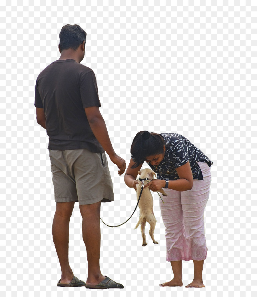 Personnes Avec Chien，Chien PNG