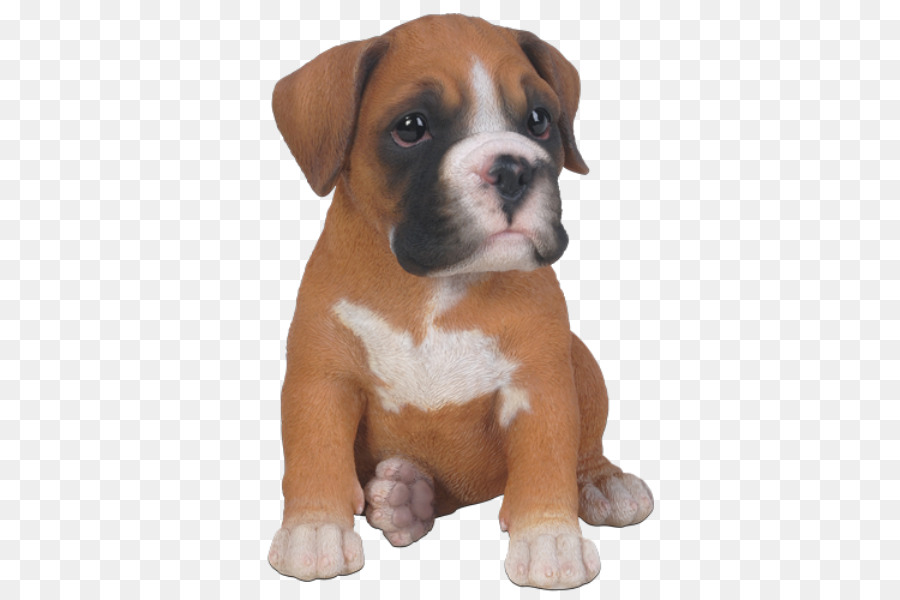 Chiot，Chien PNG