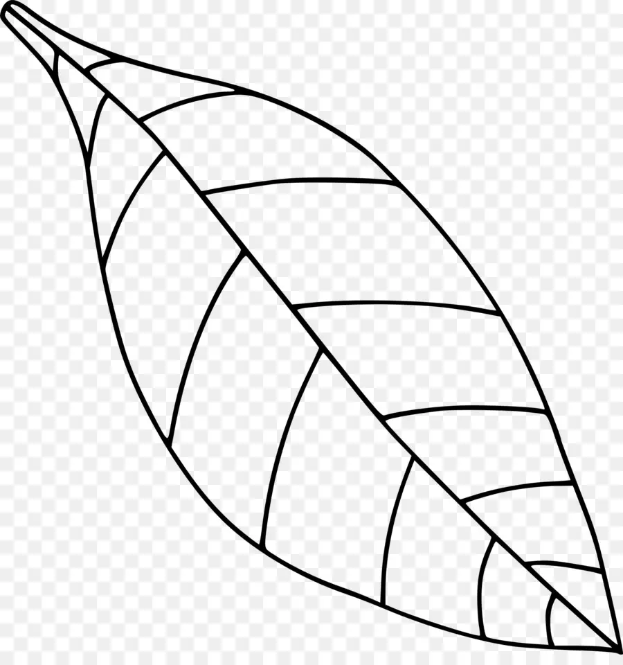 Contour De La Feuille，Feuille PNG