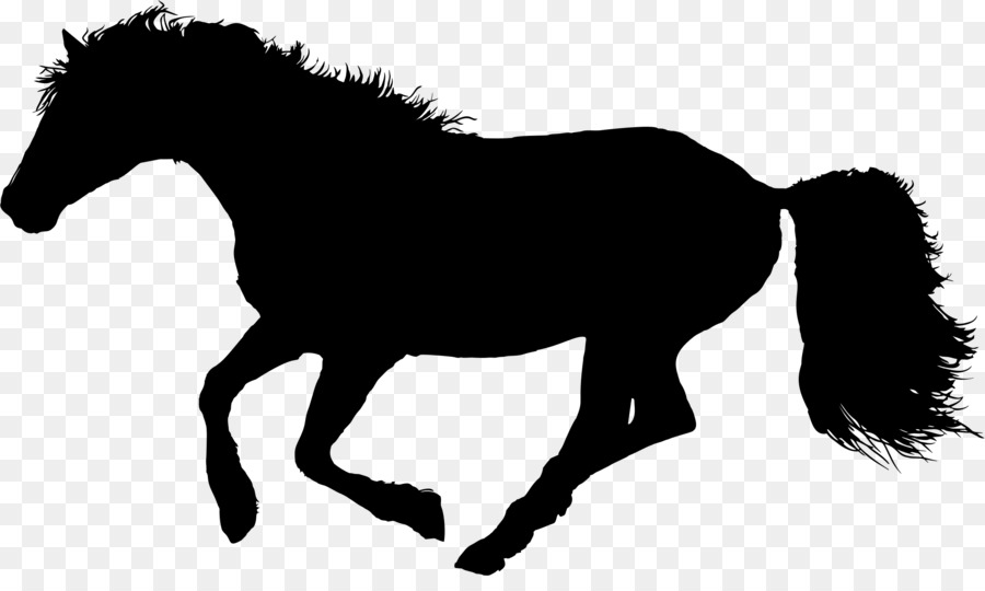 Cheval Noir，Silhouette PNG