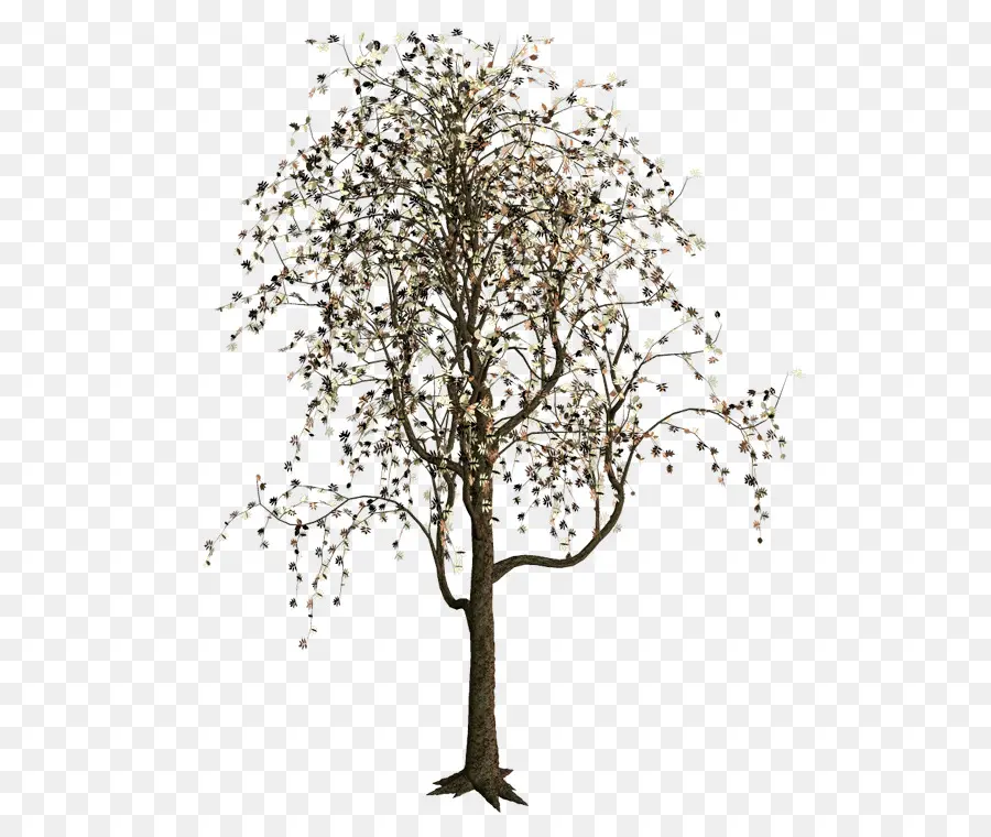 Arbre，Nature PNG