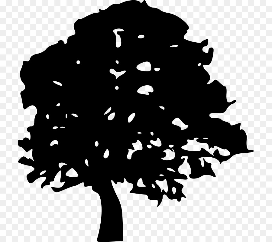 Silhouette D'arbre，Usine PNG