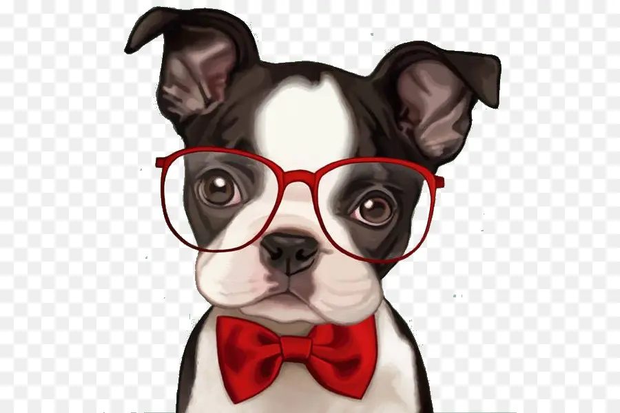 Chien，Lunettes PNG