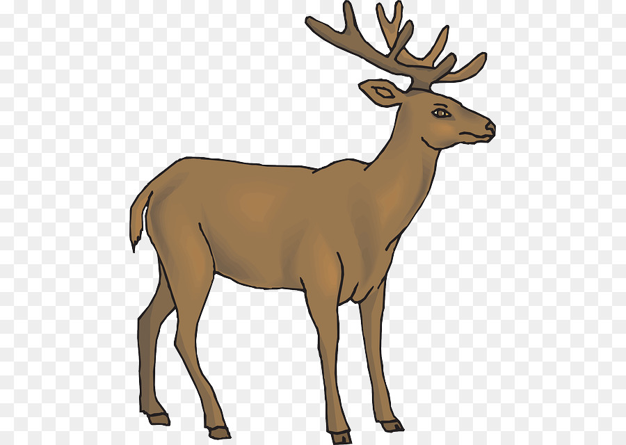 Cerf，Bois PNG