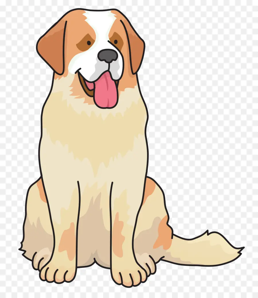 Saint Bernard，Chien PNG