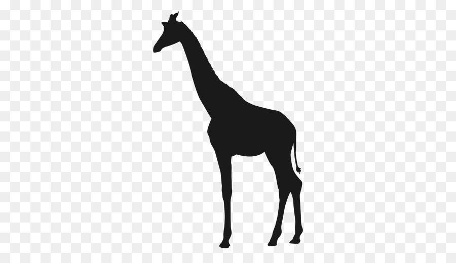 Girafe Bleue，Silhouette PNG