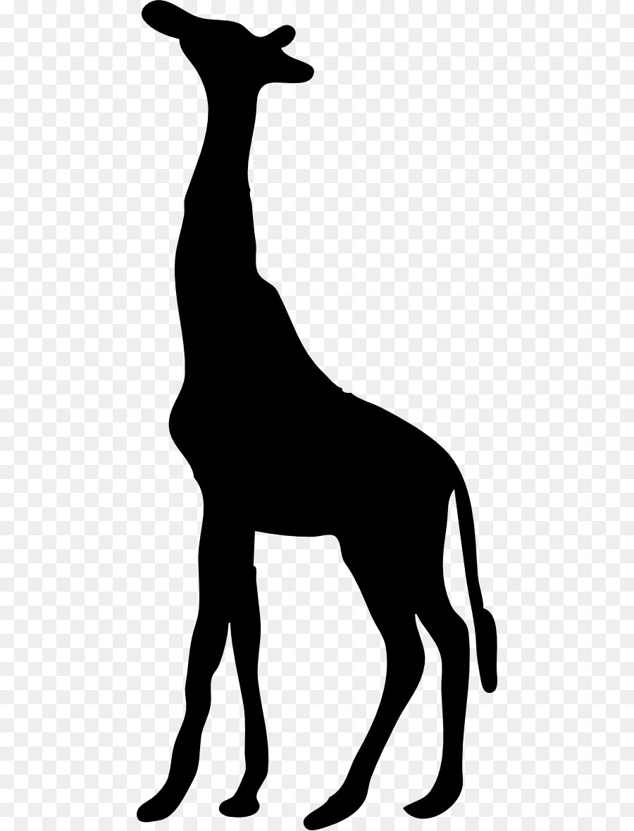 Silhouette De Girafe，Grand PNG