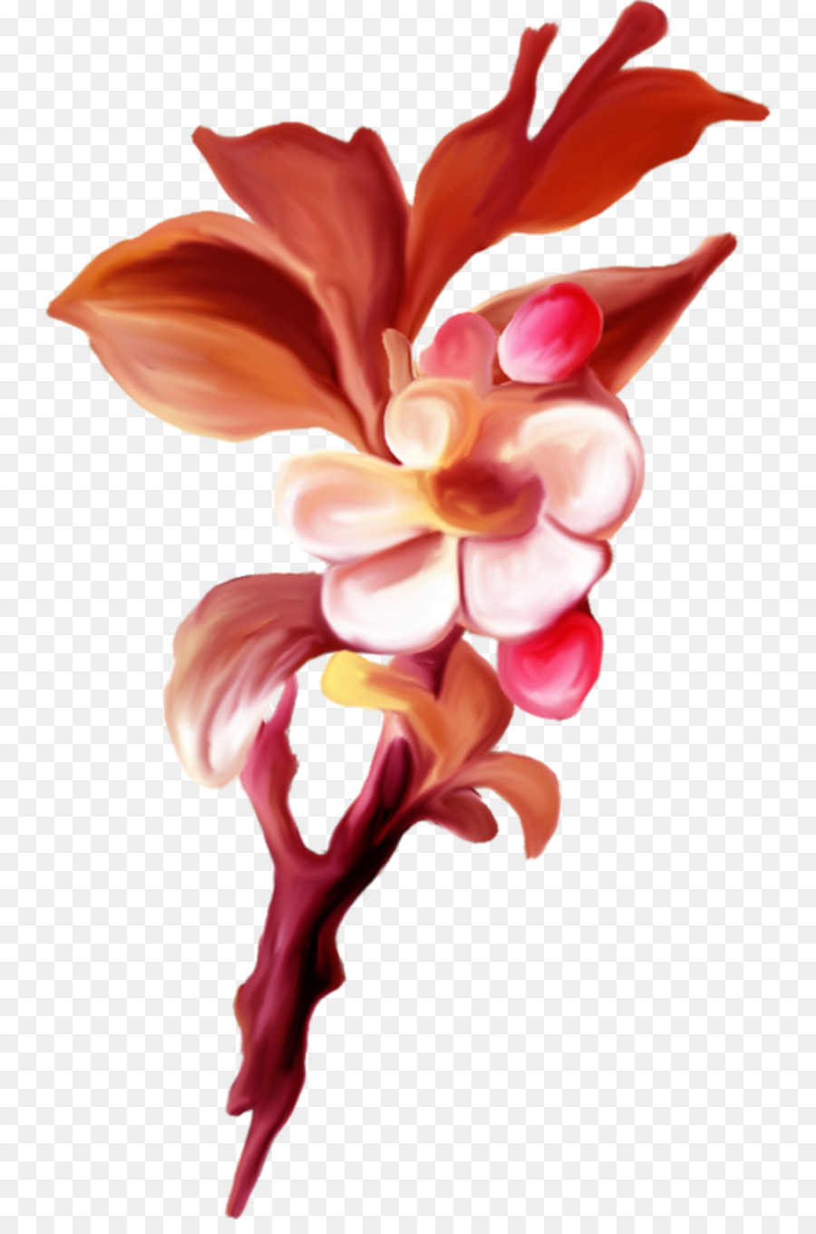 Fleur，Postscript Encapsulé PNG