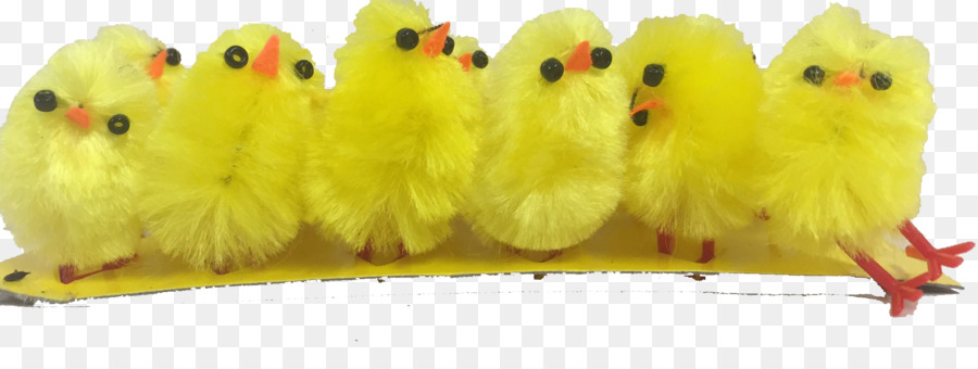 Poussins，Jaune PNG