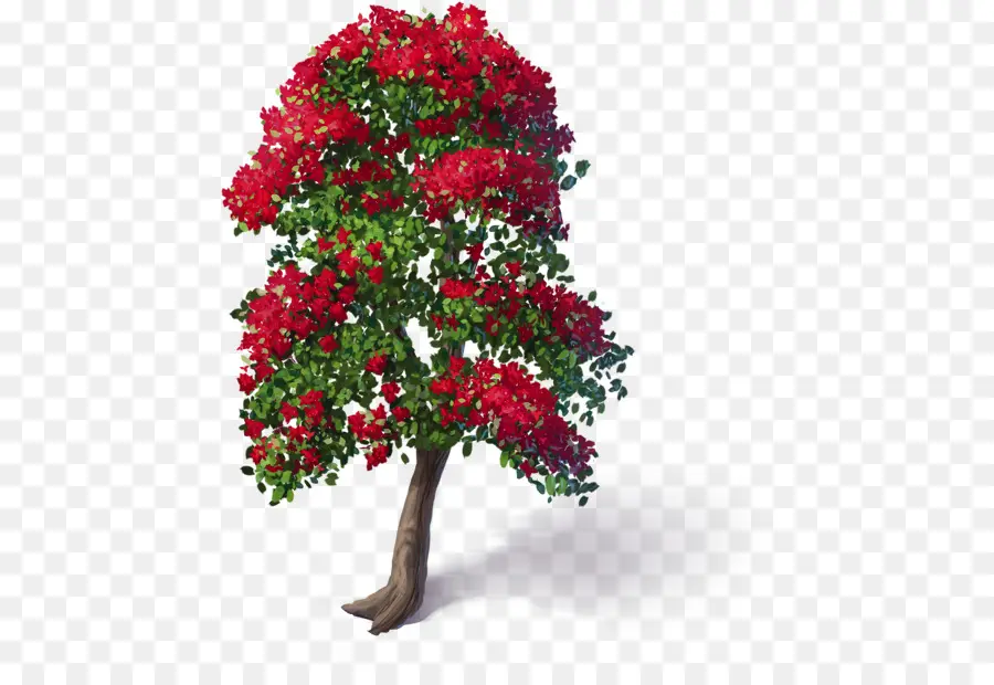 Arbre En Fleurs，Nature PNG