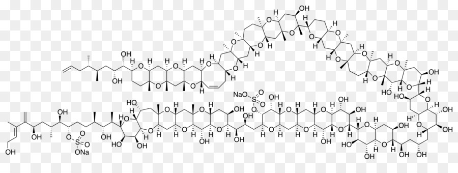 Structure Chimique，Molécule PNG