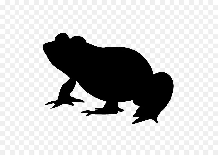 Grenouille，Silhouette PNG