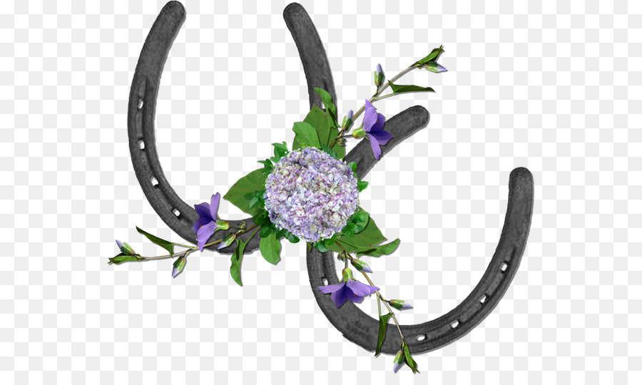 Fers à Cheval，Fleurs PNG