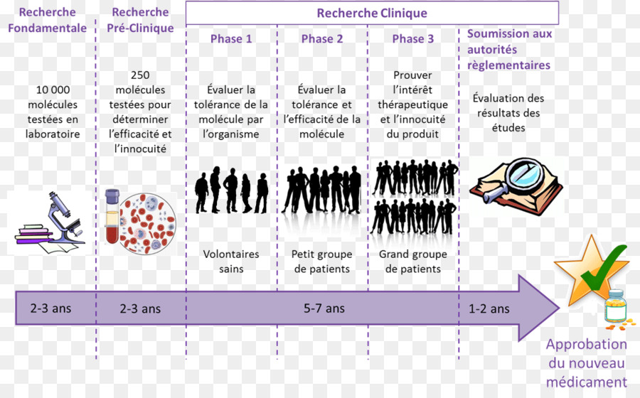 Pharmaceutiques，La Recherche Clinique PNG