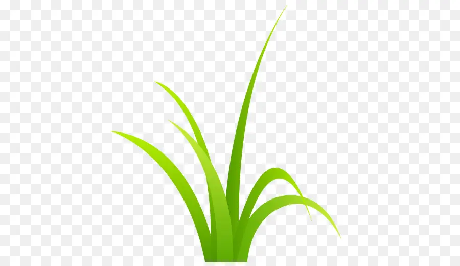 Herbe，Vert PNG