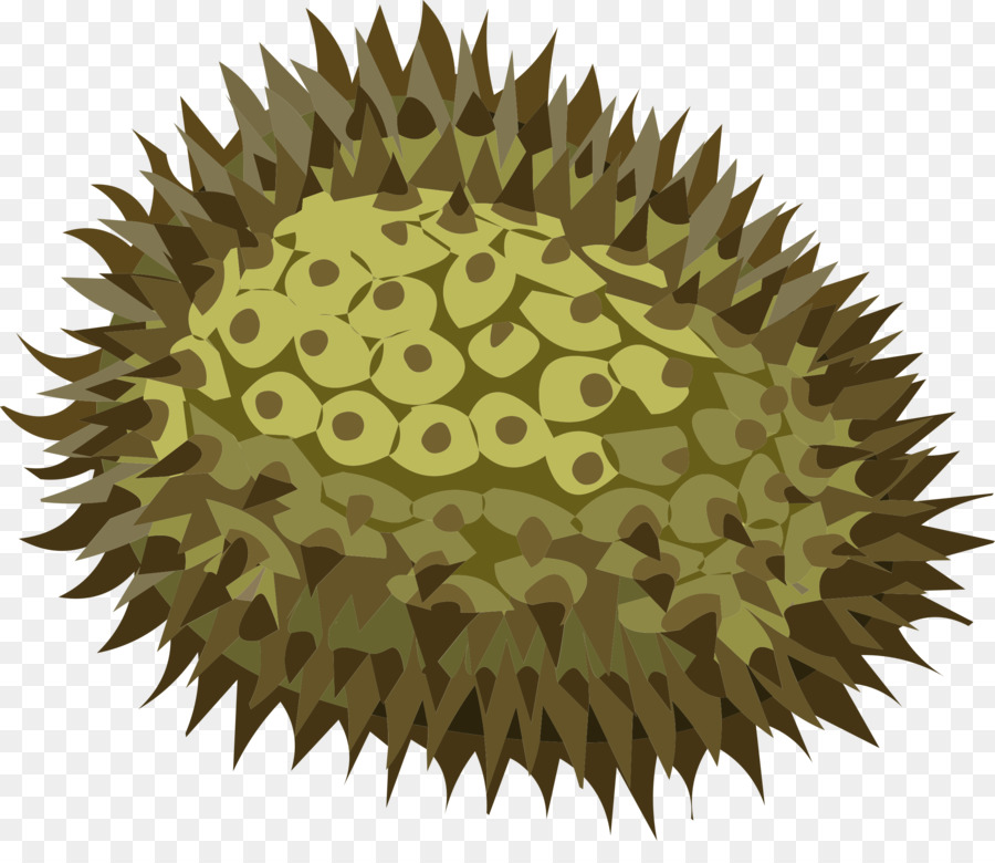 Fruits Hérissés，Durian PNG