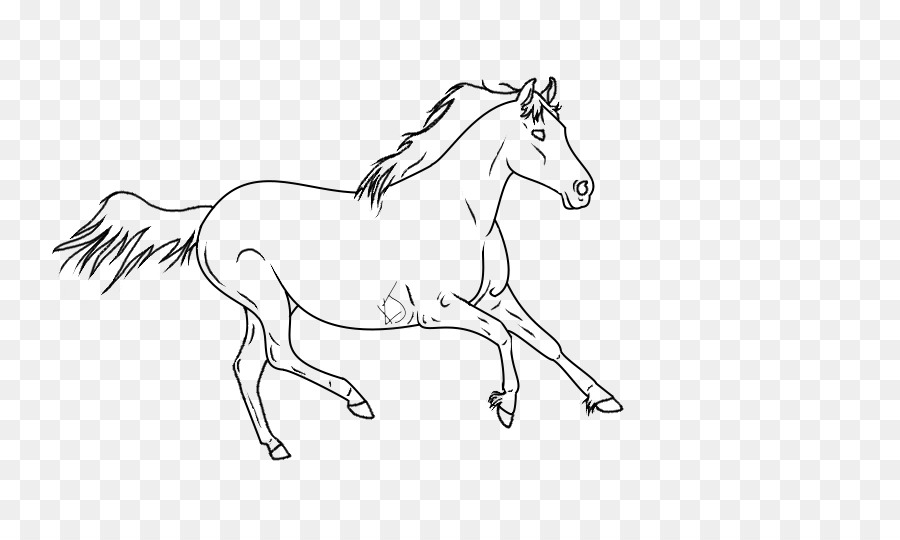 Cheval，Dessin Au Trait PNG