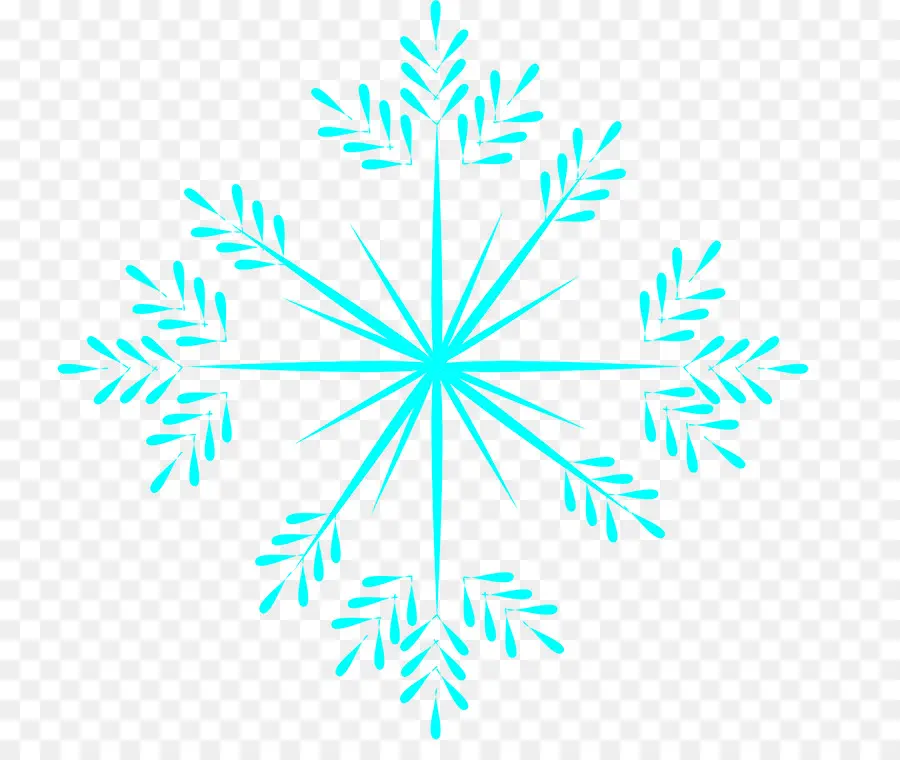 Flocon De Neige，Hiver PNG