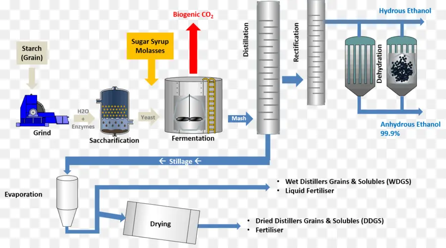 Processus De Production D'éthanol，Organigramme PNG