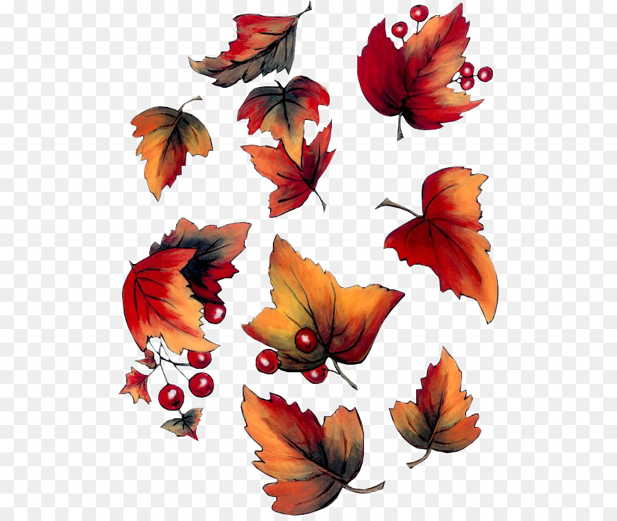 Feuilles Et Glands D'automne，Automne PNG