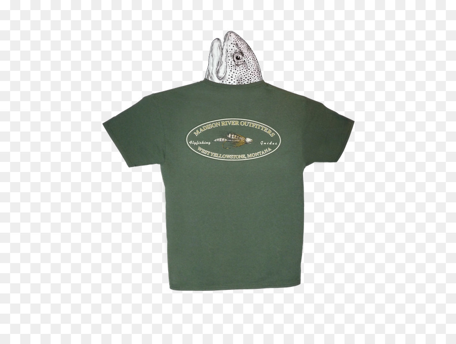 T Shirt，Manche PNG