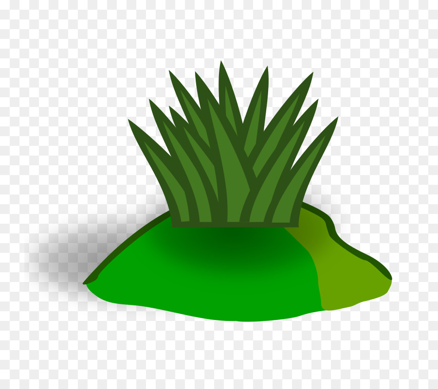 Herbe，Vert PNG