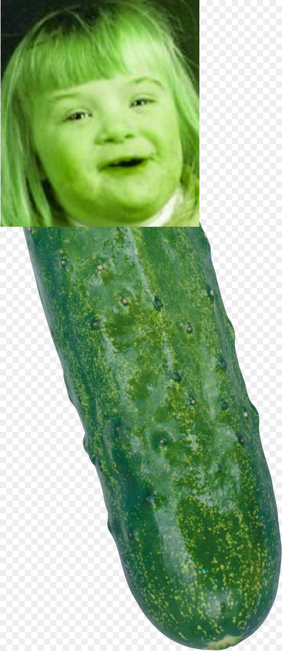 Concombre，Légume PNG