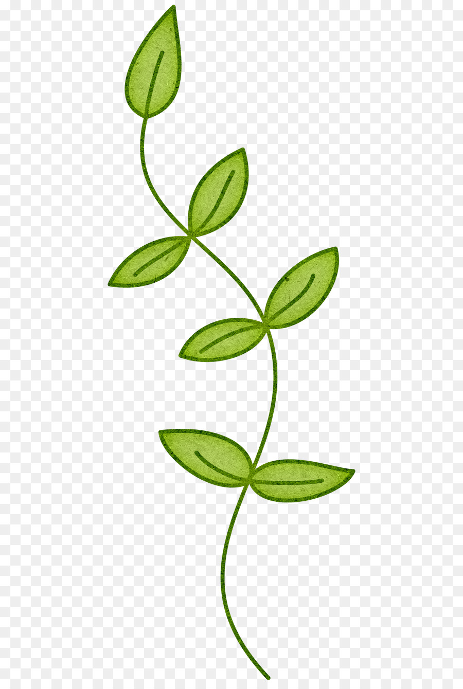 Plante Verte，Feuilles PNG