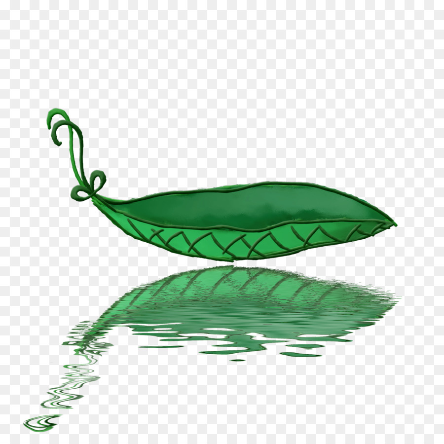 Feuille，Bateau PNG