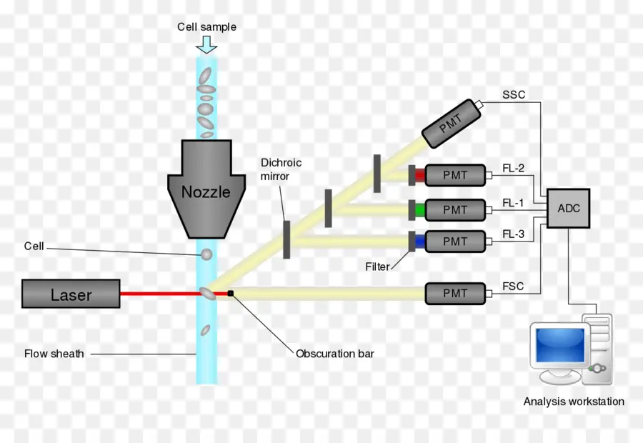 Diagramme De Cytométrie En Flux，Laser PNG