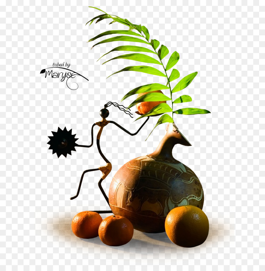 Vase，La Photographie PNG