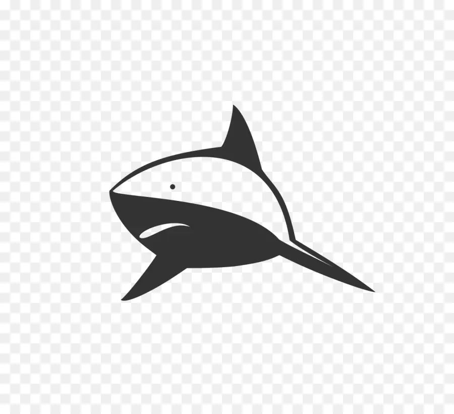 Requin，Poisson PNG