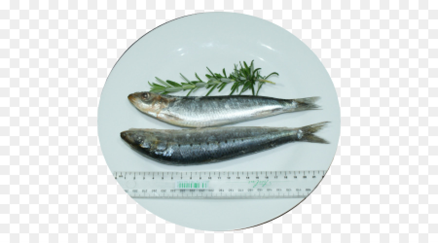 Poisson，Fruit De Mer PNG