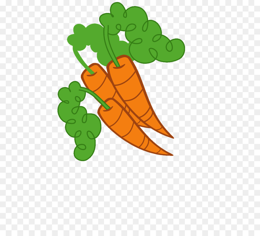 Carottes，Racine PNG