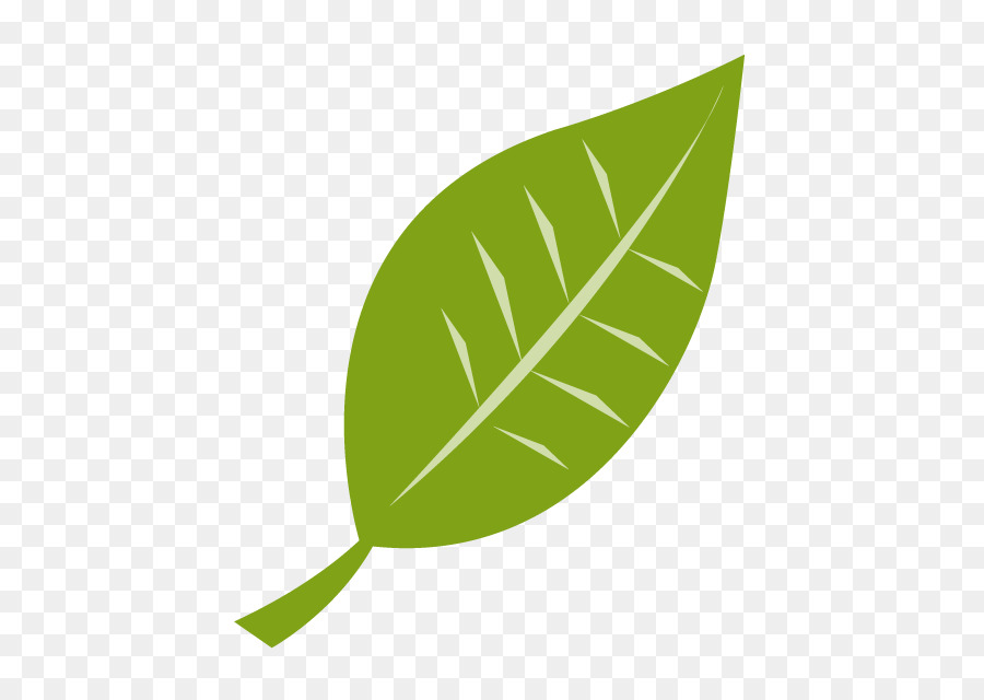 Feuilles Vertes，Usine PNG