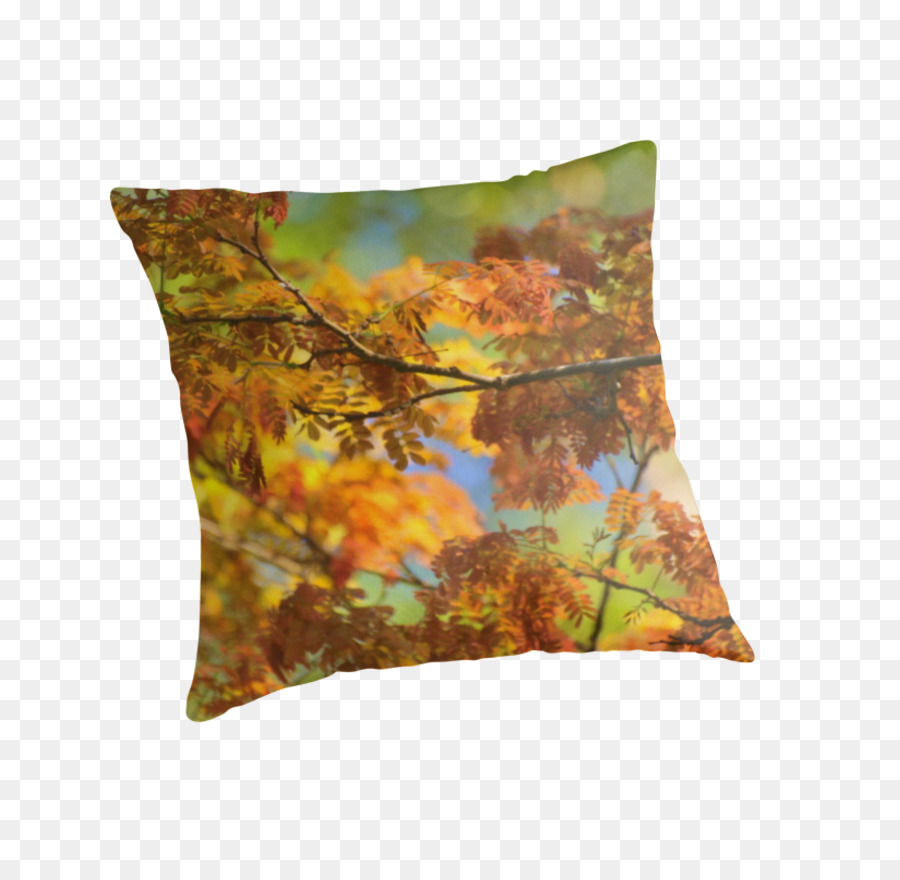 Les Coussins，Coussin PNG