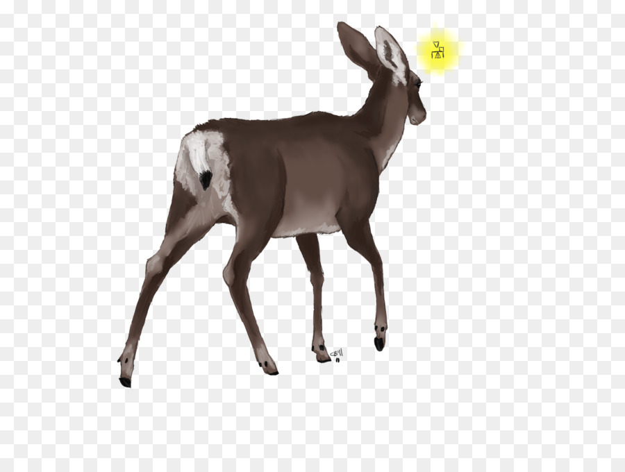 Cerf，L Antilope PNG