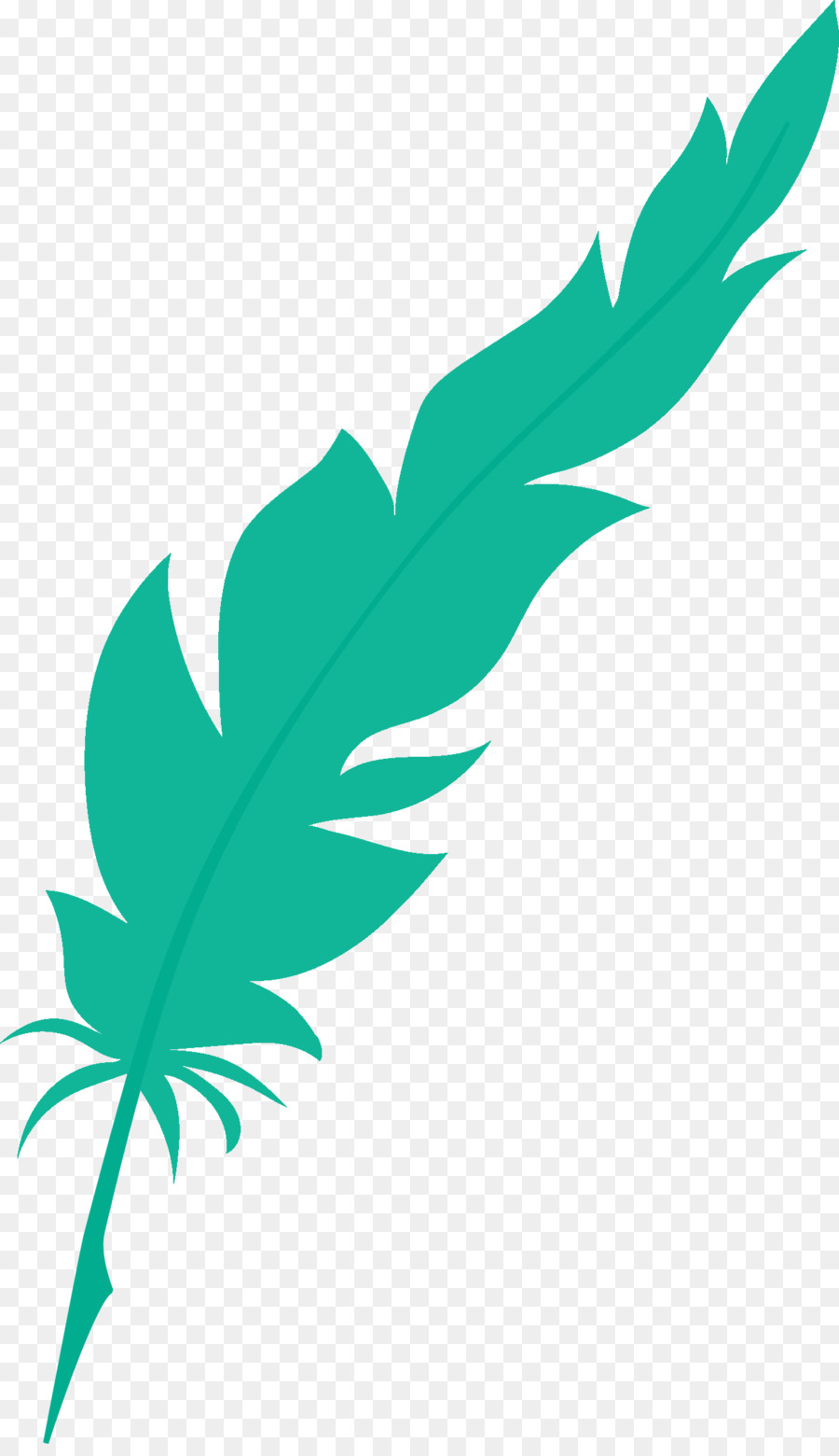 Feuille，Vert PNG