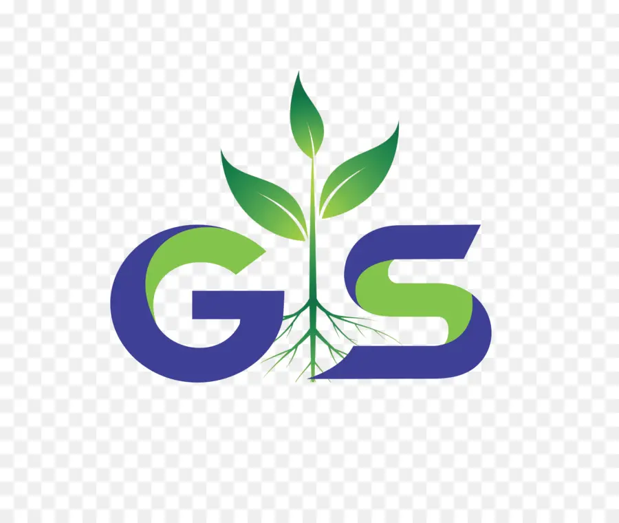 Gs，Usine PNG