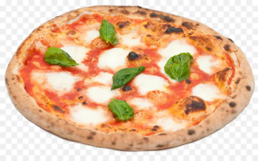 Pizza Margherita，Pizza PNG