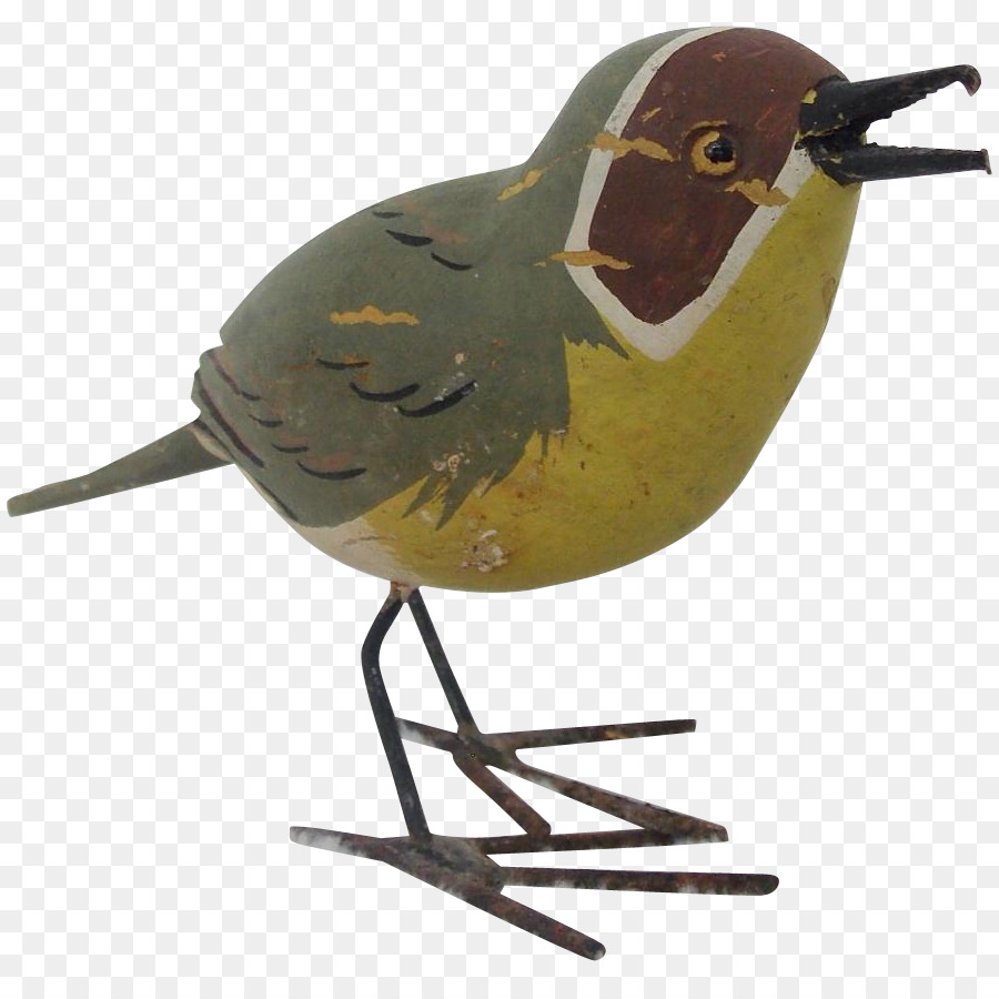 Oiseau，Le Bec PNG