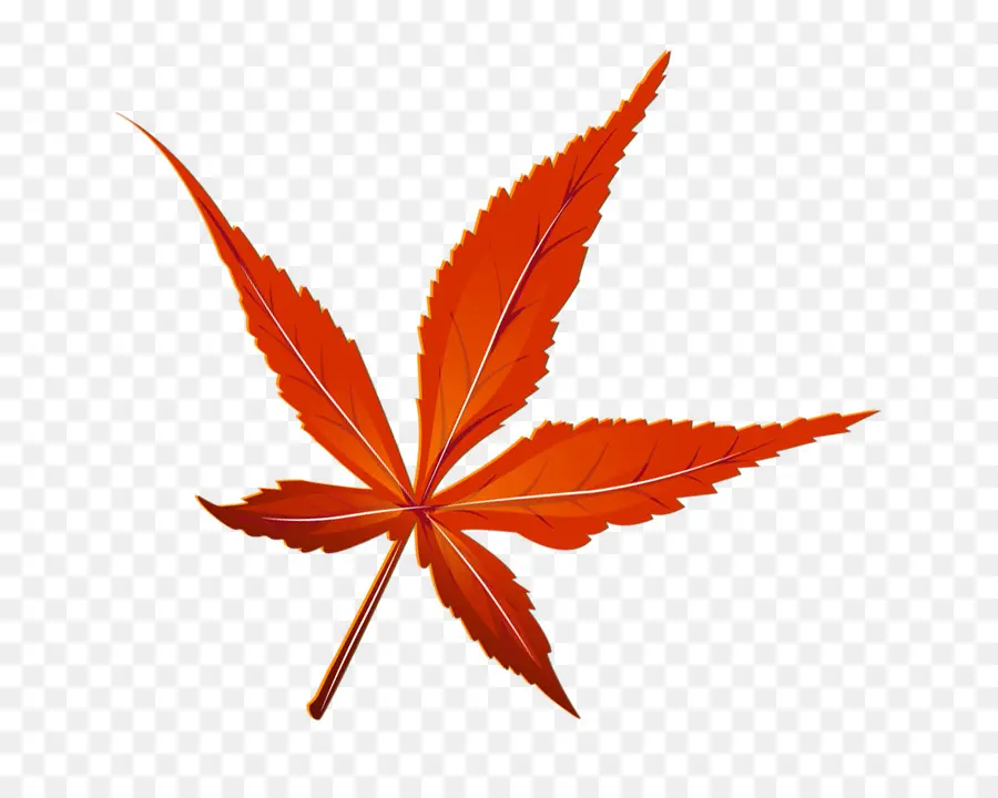 Feuille，La Couleur Des Feuilles D Automne PNG