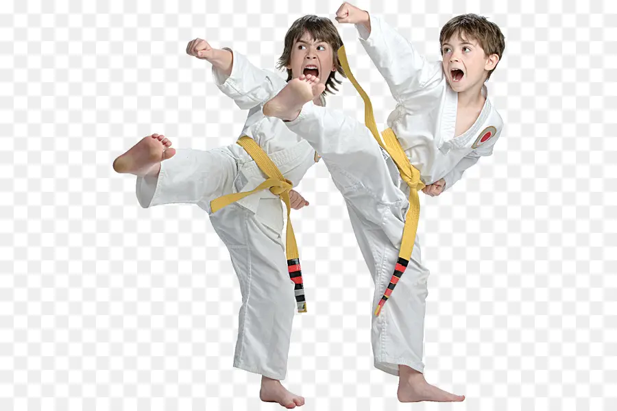 Taekwondo，Karaté PNG