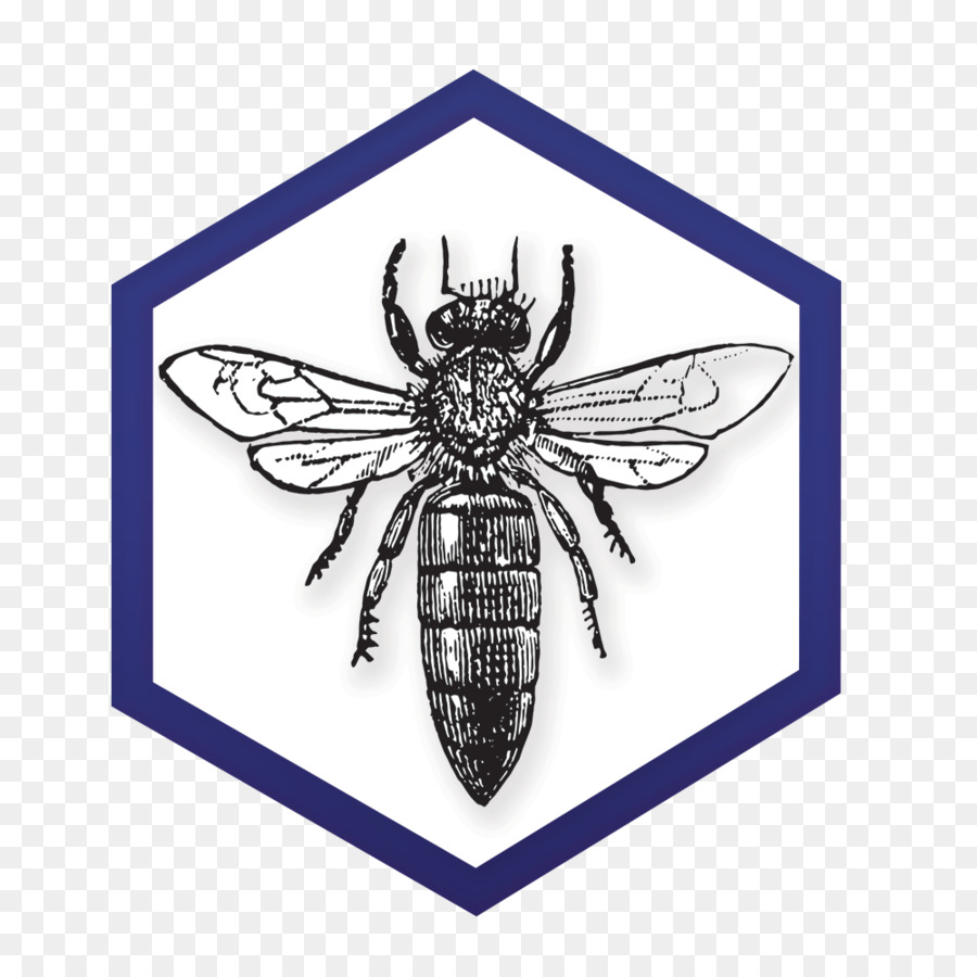 Abeille，Hexagone PNG