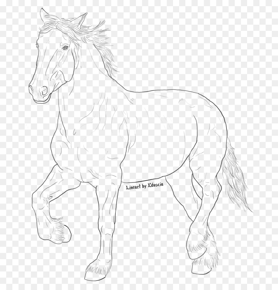 Cheval，Dessin Au Trait PNG